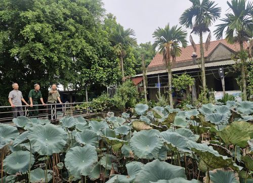 Khu vườn của gia đình cựu chiến binh Đồng Duy Hưng với không gian xanh mát là mô hình phát triển kinh tế tổng hợp cho thu nhập cao. Ảnh: PV