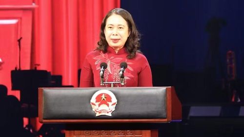 Bí thư Trung ương Đảng, Phó Chủ tịch nước Võ Thị Ánh Xuân phát biểu tại buổi lễ. (Ảnh: VÂN ANH)