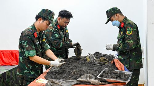  Công tác phân loại xương, di vật của các bộ hài cốt vừa được tìm thấy tại hố chôn tập thể thứ hai 