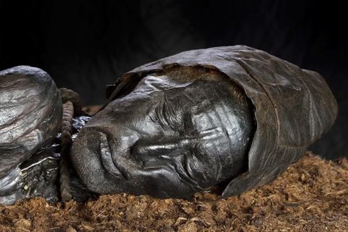Ảnh: museumsilkeborg Một trong những trường hợp nổi tiếng nhất là xác ướp Tollund Man, được phát hiện tại Đan Mạch năm 1950. Gương mặt của xác ướp này được bảo tồn hoàn hảo đến mức những người tìm thấy ban đầu tưởng rằng đây là nạn nhân của một vụ án hiện đại. Sau khi phân tích bằng phương pháp định tuổi carbon phóng xạ, các nhà khoa học xác định Tollund Man đã sống vào khoảng thế kỷ IV trước Công nguyên.