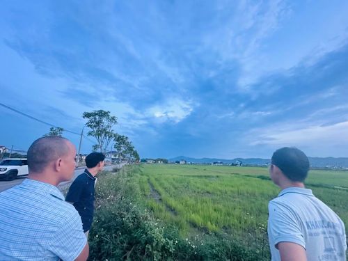 Khu vực đất đấu giá trước đó người dân trồng lúa.