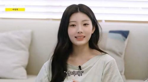 Wonhee thừa nhận thích thuật ngữ "eommisae".