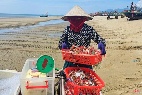Bà Trần Thị Liệu - một thương lái cho biết: "Ghẹ và tôm tít là những loại hải sản giá trị nên đều được chúng tôi thu mua nhập cho các nhà hàng, khách sạn trên địa bàn. Dịp này, mỗi ngày tôi thu mua khoảng 2 tạ ghẹ và tôm tít."