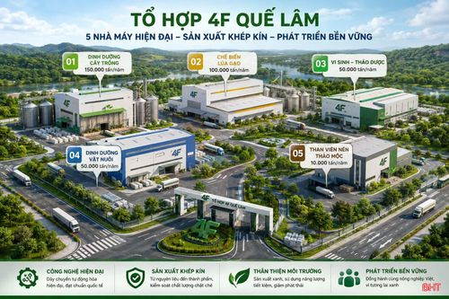 Khu sản xuất – chế biến của tổ hợp dự kiến gồm 5 nhà máy được đầu tư đồng bộ, hiện đại. (Hình ảnh minh họa được tạo bởi AI)