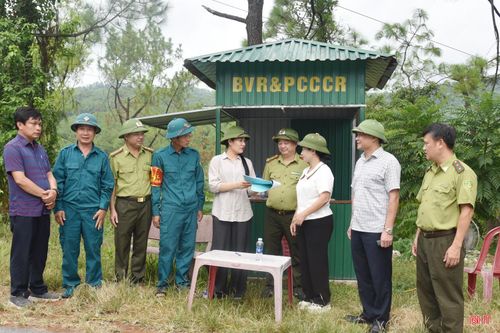 Đoàn khảo sát nắm bắt tình hình ở các chốt, trạm gác trên các trục đường chính vào rừng.