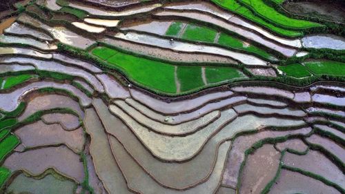 Ruộng bậc thang ở xã Mường La (Sơn La) mùa nước đổ. (Ảnh: Quang Quyết/TTXVN)