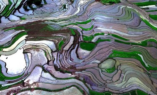 Ruộng bậc thang ở xã Mường La (Sơn La) mùa nước đổ. (Ảnh: Quang Quyết/TTXVN)