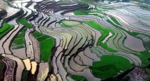 Ruộng bậc thang ở xã Mường La (Sơn La) mùa nước đổ. (Ảnh: Quang Quyết/TTXVN)