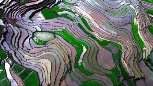 Ruộng bậc thang ở xã Mường La (Sơn La) mùa nước đổ. (Ảnh: Quang Quyết/TTXVN)