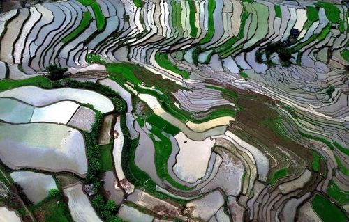 Ruộng bậc thang ở xã Mường La (Sơn La) mùa nước đổ. (Ảnh: Quang Quyết/TTXVN)