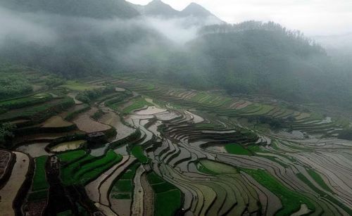 Ruộng bậc thang ở xã Mường La (Sơn La) mùa nước đổ. (Ảnh: Quang Quyết/TTXVN)