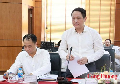Ông Nguyễn Hoàng Giang, Tổng giám đốc VEAM phát biểu tại buổi làm việc.