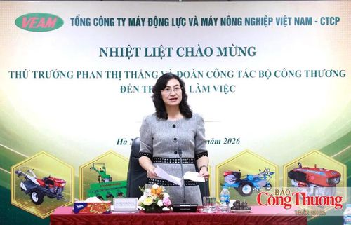 Thứ trưởng Bộ Công Thương Phan Thị Thắng phát biểu kết luận buổi làm việc.