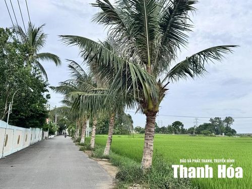 Một góc của thôn Đường Thôn.