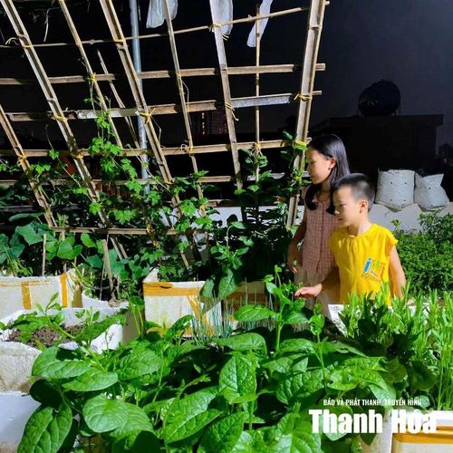 Các con của chị Lê Thị Hải yêu thích khu vườn trồng rau trên sân thượng của gia đình.