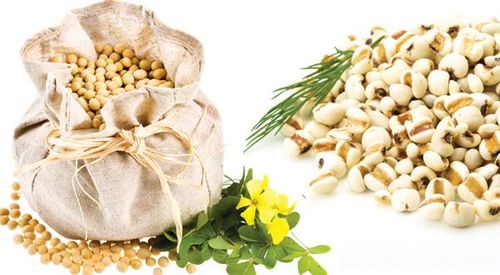 Các loại hạt hàng nghìn năm tuổi được kỳ vọng trở thành thực phẩm của tương lai. Ảnh: The Miller Magazine