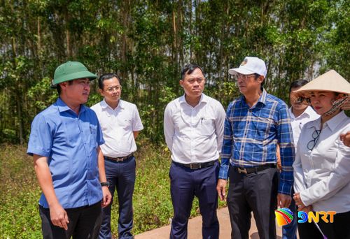 Phó Chủ tịch UBND thành phố Phan Thái Bình (ngoài cùng bên trái) kiểm tra hiện trường, tháo gỡ khó khăn cho doanh nghiệp. Ảnh: HỒ QUÂN