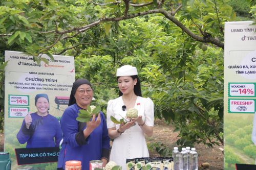 Các nhà sáng tạo nội dung số giới thiệu đặc sản Na Chi Lăng