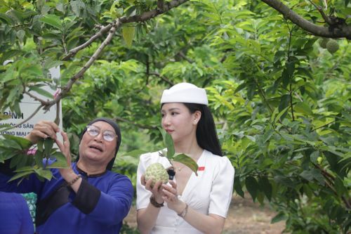 Nhà sáng tạo nội dung số giới thiệu sản phẩm na Chi Lăng trên phiên Mega livestream