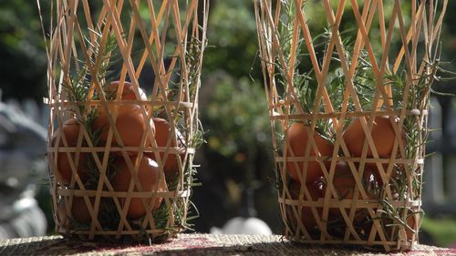 "Trứng gà thảo dược Đà Lạt" là minh chứng cho hướng đi lấy khoa học công nghệ và đổi mới sáng tạo làm nền tảng để nâng cao giá trị nông sản địa phương