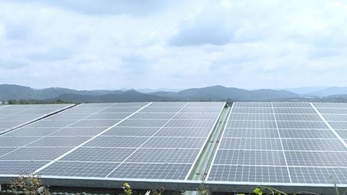 Hệ thống điện mặt trời áp mái góp phần hiện thực hóa mô hình nông nghiệp xanh và kinh tế tuần hoàn tại Công ty TNHH Năng lượng Thiên Đức Phát
