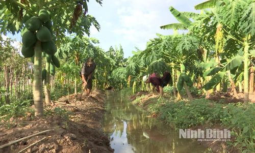 Phút giây bình yên của hai vợ chồng CCB Nguyễn Thiện Tỉnh