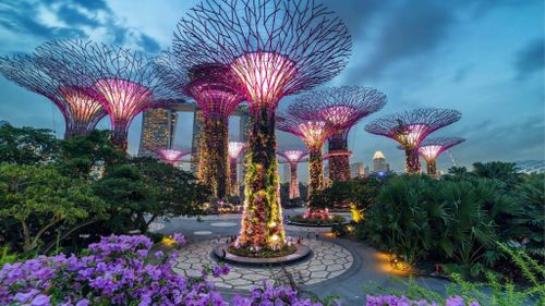Gardens by the Bay.