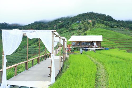 Điểm check-in Hây Hây Meadow, bản Xím Vàng, xã Xím Vàng