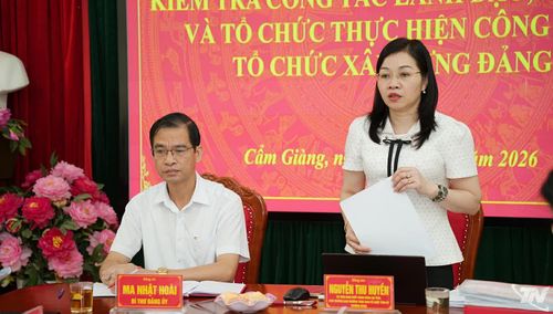 Đồng chí Trưởng đoàn kiểm tra số 1 của Ban Tổ chức Tỉnh ủy phát biểu kết luận.