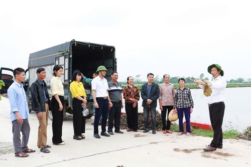 Trung tâm Khuyến nông Hà Nội cung cấp giống sen cho Hợp tác xã nông nghiệp Phú Chuyên, xã Chuyên Mỹ. Ảnh: T.Hoài