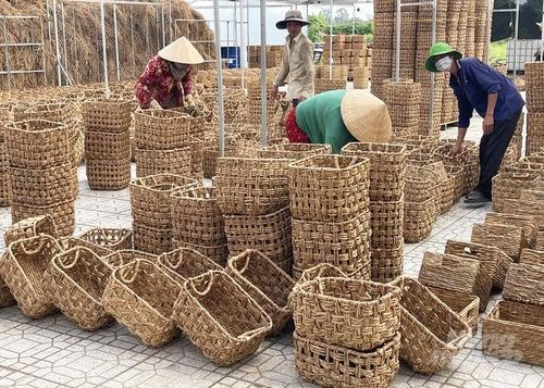 Sản phẩm thủ công từ cây Bàng