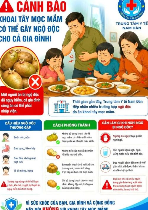 Trung tâm Y tế Nam Đàn khuyến cáo người dân tuyệt đối không sử dụng khoai tây đã mọc mầm, có nhiều mắt mầm hoặc phần vỏ chuyển màu xanh; không nên vì tiếc thực phẩm mà chỉ cắt bỏ phần mầm rồi tiếp tục chế biến.