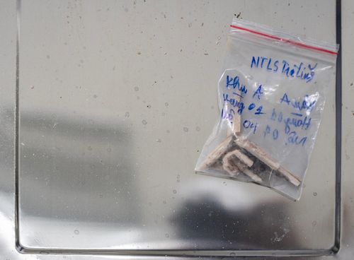 Các mẫu vật được chọn lọc kỹ lưỡng và bảo quản theo quy chuẩn kỹ thuật nhằm hạn chế ADN tiếp tục phân hủy trước khi giám định. Ảnh: Việt Linh.