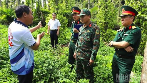 Đoàn công tác đã tiến hành khảo sát tại nhiều vị trí trong khu vực sản xuất có phát hiện các dấu tích nghi có hài cốt liệt sĩ do người dân cung cấp.
