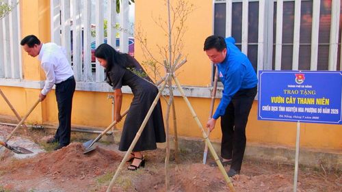 Các đại biểu tham gia trồng cây, xây dựng “Vườn cây thanh niên”