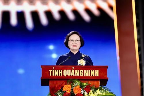 Phó Thủ tướng Phạm Thị Thanh Trà phát biểu tại chương trình.