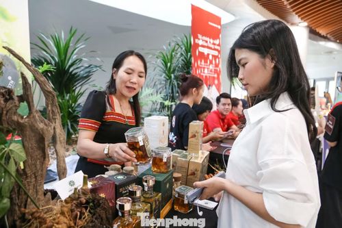 Đại hội Cà phê năm 2026 diễn ra tại Công viên APEC (phường Hải Châu) từ nay đến hết ngày 26/7. Đây là sự kiện văn hóa - du lịch quy mô lớn nhằm quảng bá văn hóa cà phê Việt Nam, kết nối các doanh nghiệp trong lĩnh vực F&amp;B, du lịch, thương mại với các sản phẩm đặc trưng của địa phương, tạo không gian trải nghiệm mới dành cho người dân và du khách khi đến với Đà Nẵng.