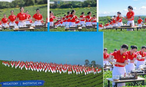 Biểu diễn pha trà tại Lễ hội Trà quốc tế được tổ chức ở Đà Lạt.