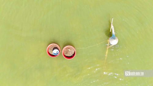 Theo ông Nguyễn Văn Lô (50 tuổi, xã An Phú), nghề cào don đã gắn bó với cư dân ven sông Trà Khúc từ rất lâu đời. Sau mỗi mùa lũ, khi nước sông rút, người dân lại xuống sông kiếm kế sinh nhai; đến mùa mưa, nước dâng cao thì tạm ngưng. Vì vậy, một năm người dân chỉ làm nghề khoảng 8 tháng.