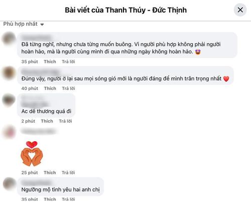 Phản ứng khán giả bên dưới bài đăng của Thanh Thúy và Đức Thịnh. (Ảnh: Chụp màn hình)