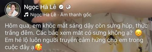 Ngọc Hà chia sẻ từng bật khóc và mất ngủ vì những thông tin sai lệch về mình. Ảnh: Chụp màn hình FBNV