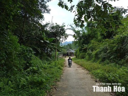 Đường vào thôn Kịt, xã Cổ Lũng men theo những cánh rừng.