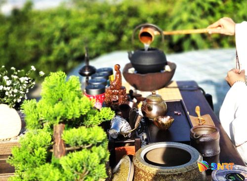 Sản phẩm du lịch mới "Tour thưởng trà tại đỉnh Bàn Cờ - bán đảo Sơn Trà", góp phần làm phong phú hệ thống sản phẩm du lịch đặc trưng của thành phố Đà Nẵng. Ảnh: NGỌC HÀ