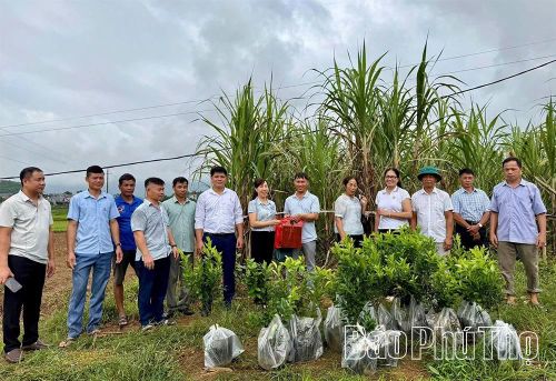 Xã tổ chức chuyển giao khoa học kỹ thuật cho người dân.