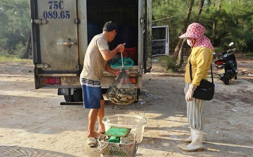 Xe chở hải sản nhập hàng đưa ghẹ đi phân phối ở các tỉnh thành