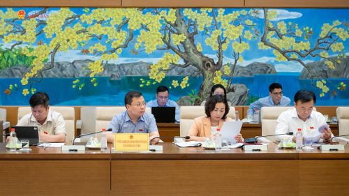 Các đại biểu tham dự phiên họp. Ảnh: Phạm Thắng