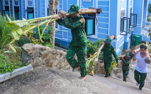  Bộ đội Đồn Biên phòng Hòn Chuối trồng thêm gần 40 cây chuối mang từ đất liền ra để doanh trại thêm xanh.