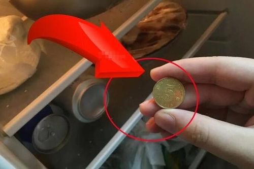 Hữu ích khi đi vắng dài ngày. Ảnh minh họa.