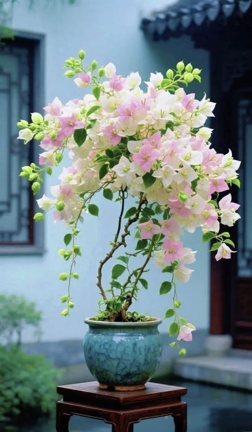 Người mệnh Mộc
