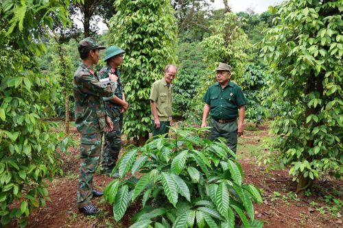 Cựu chiến binh Trần Thực (ngoài cùng bên phải) nguyên chiến sĩ C6, D2, E205 Miền Đông Nam Bộ, vượt hơn 100 km bằng xe máy tham gia hành trình tìm kiếm đồng đội
